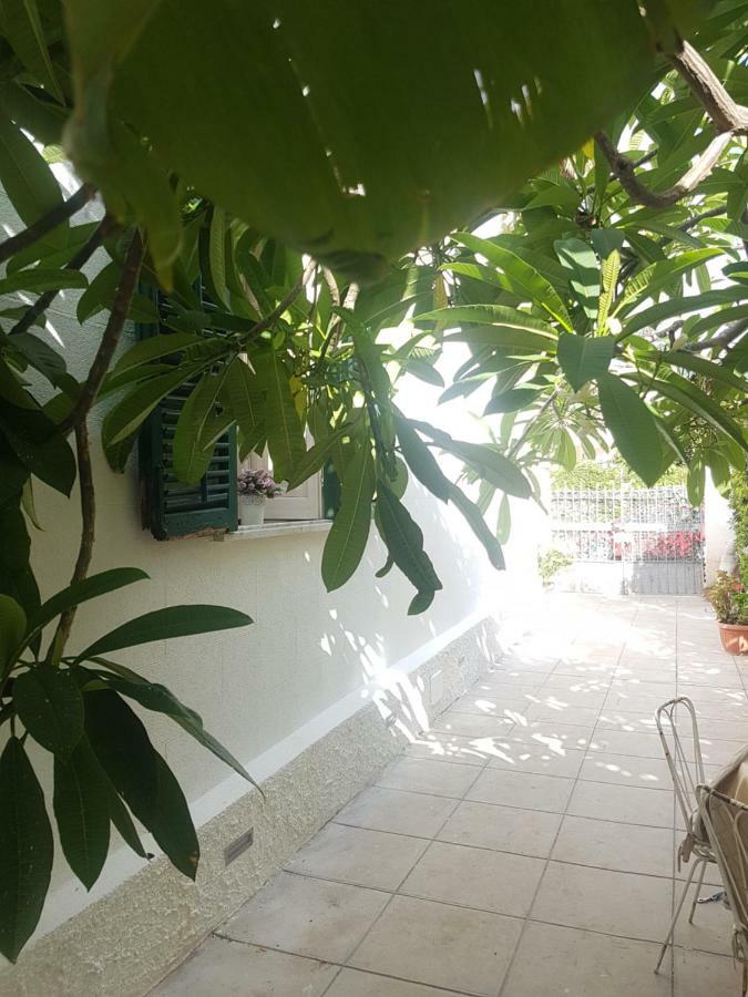 蒙德罗 Green House Beach酒店 外观 照片
